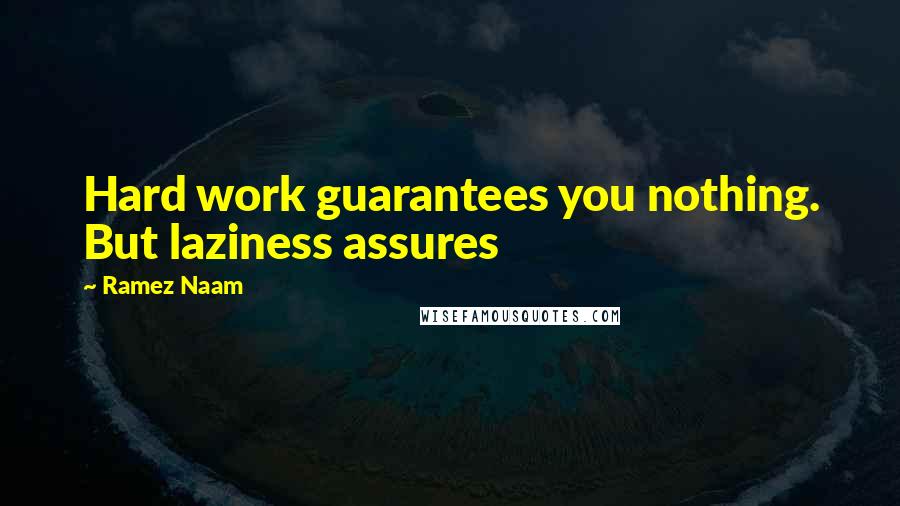Ramez Naam Quotes: Hard work guarantees you nothing. But laziness assures