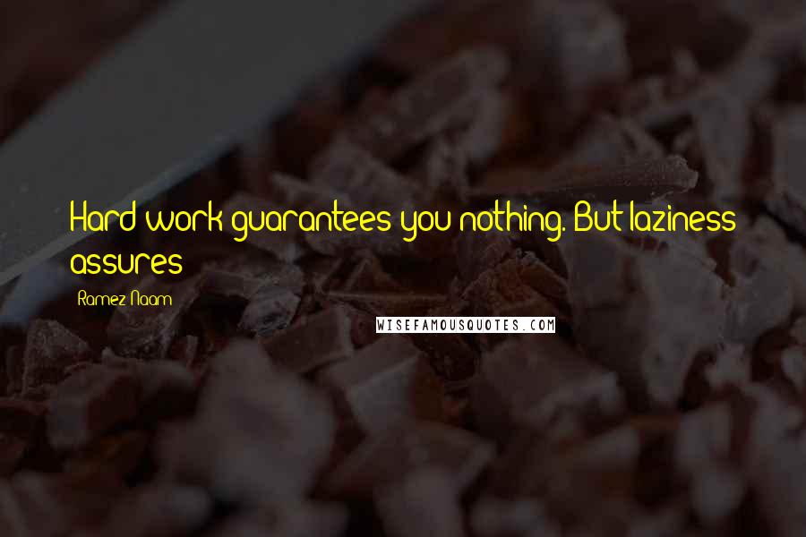 Ramez Naam Quotes: Hard work guarantees you nothing. But laziness assures