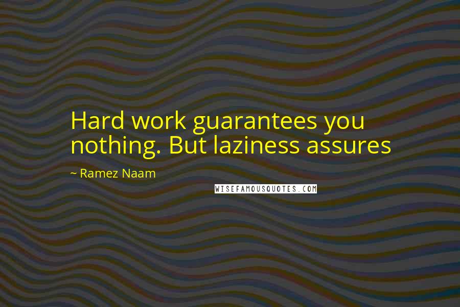 Ramez Naam Quotes: Hard work guarantees you nothing. But laziness assures