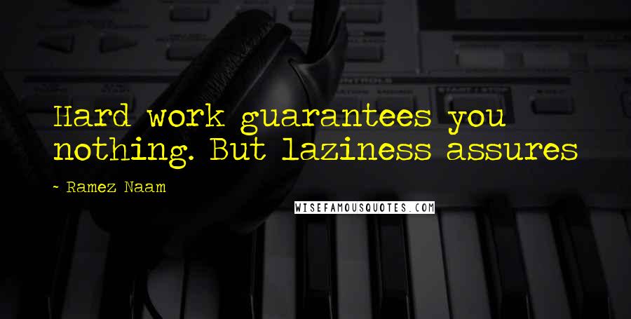 Ramez Naam Quotes: Hard work guarantees you nothing. But laziness assures