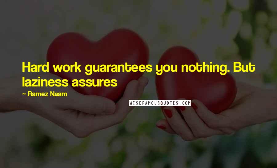 Ramez Naam Quotes: Hard work guarantees you nothing. But laziness assures