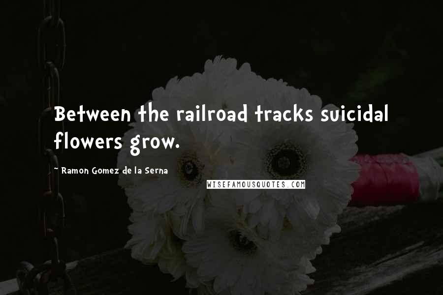 Ramon Gomez De La Serna Quotes: Between the railroad tracks suicidal flowers grow.