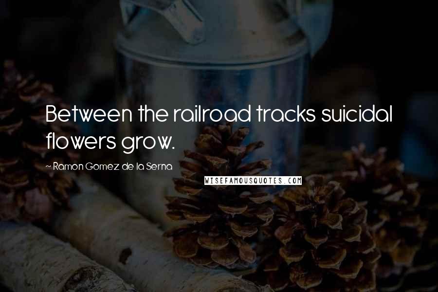 Ramon Gomez De La Serna Quotes: Between the railroad tracks suicidal flowers grow.