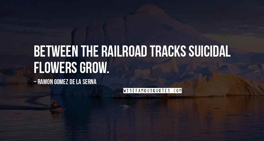 Ramon Gomez De La Serna Quotes: Between the railroad tracks suicidal flowers grow.