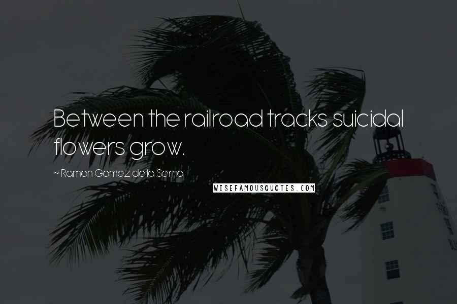 Ramon Gomez De La Serna Quotes: Between the railroad tracks suicidal flowers grow.