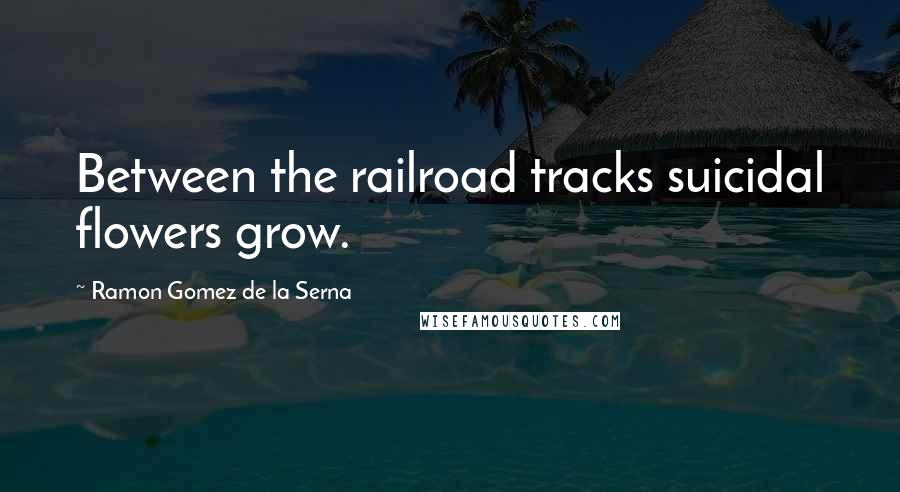 Ramon Gomez De La Serna Quotes: Between the railroad tracks suicidal flowers grow.