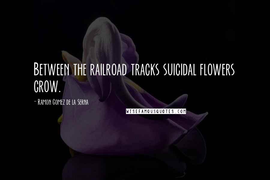 Ramon Gomez De La Serna Quotes: Between the railroad tracks suicidal flowers grow.