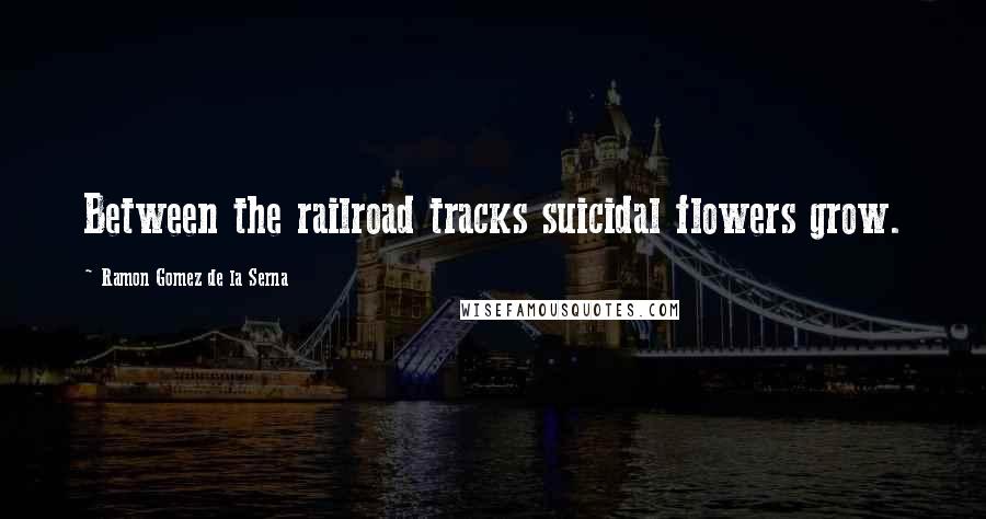 Ramon Gomez De La Serna Quotes: Between the railroad tracks suicidal flowers grow.