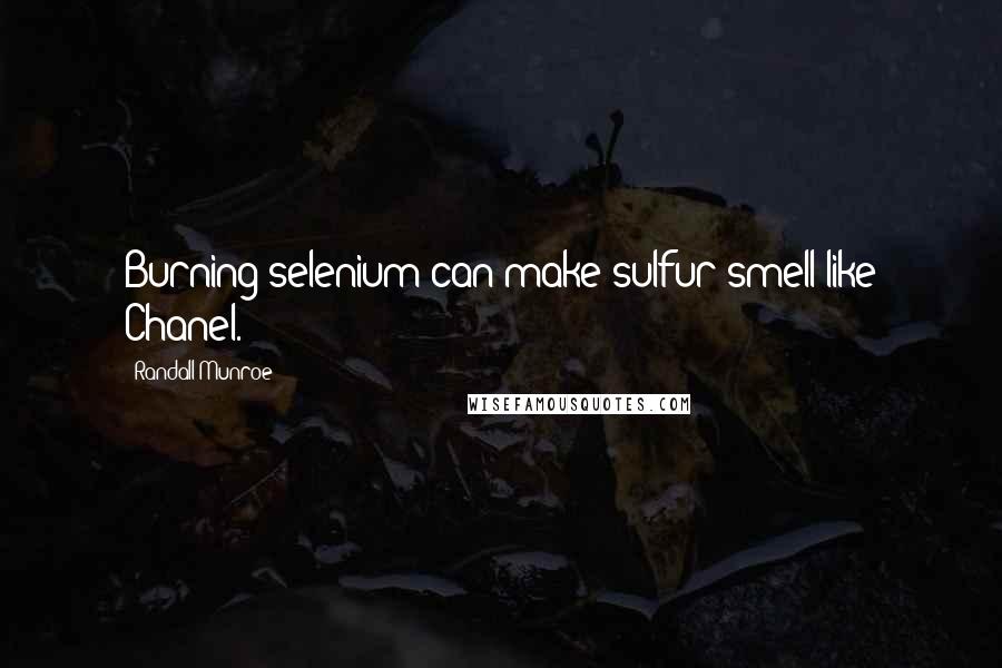 Randall Munroe Quotes: Burning selenium can make sulfur smell like Chanel.