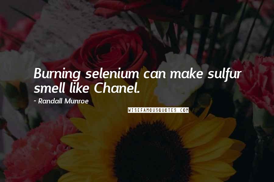 Randall Munroe Quotes: Burning selenium can make sulfur smell like Chanel.