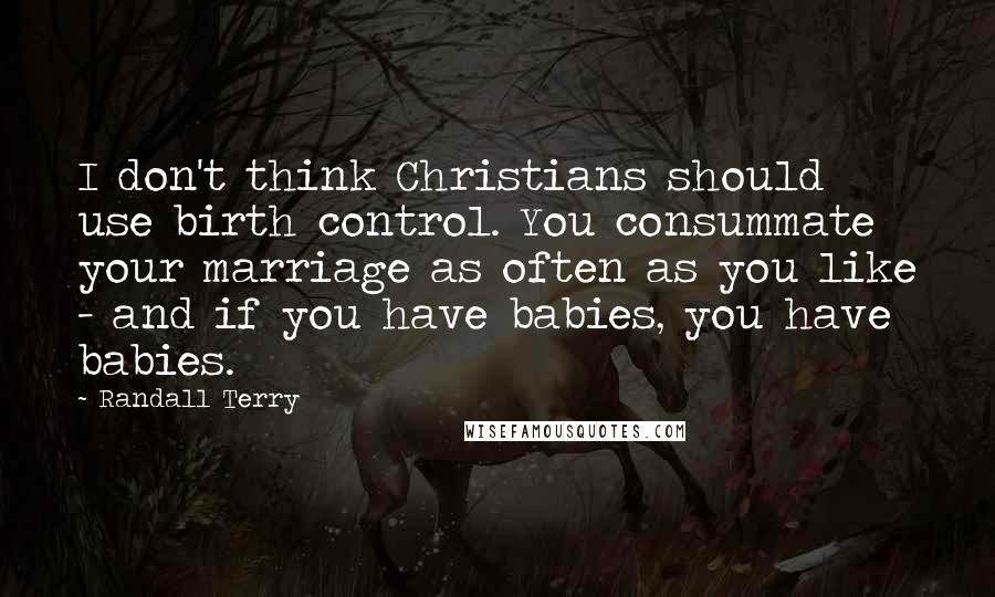 Randall Terry Quotes: I don't think Christians should use birth control. You consummate your marriage as often as you like - and if you have babies, you have babies.