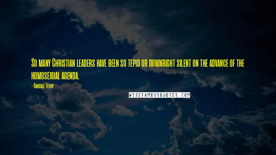 Randall Terry Quotes: So many Christian leaders have been so tepid or downright silent on the advance of the homosexual agenda.