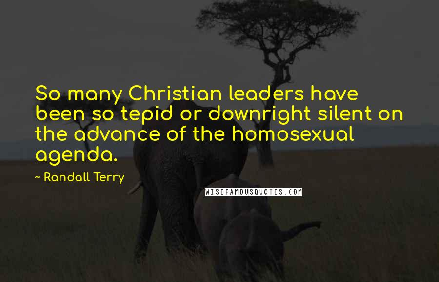 Randall Terry Quotes: So many Christian leaders have been so tepid or downright silent on the advance of the homosexual agenda.