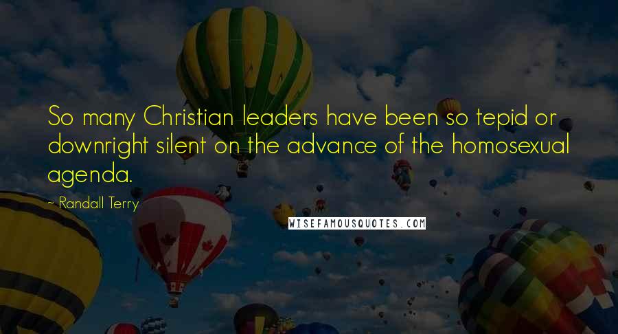 Randall Terry Quotes: So many Christian leaders have been so tepid or downright silent on the advance of the homosexual agenda.