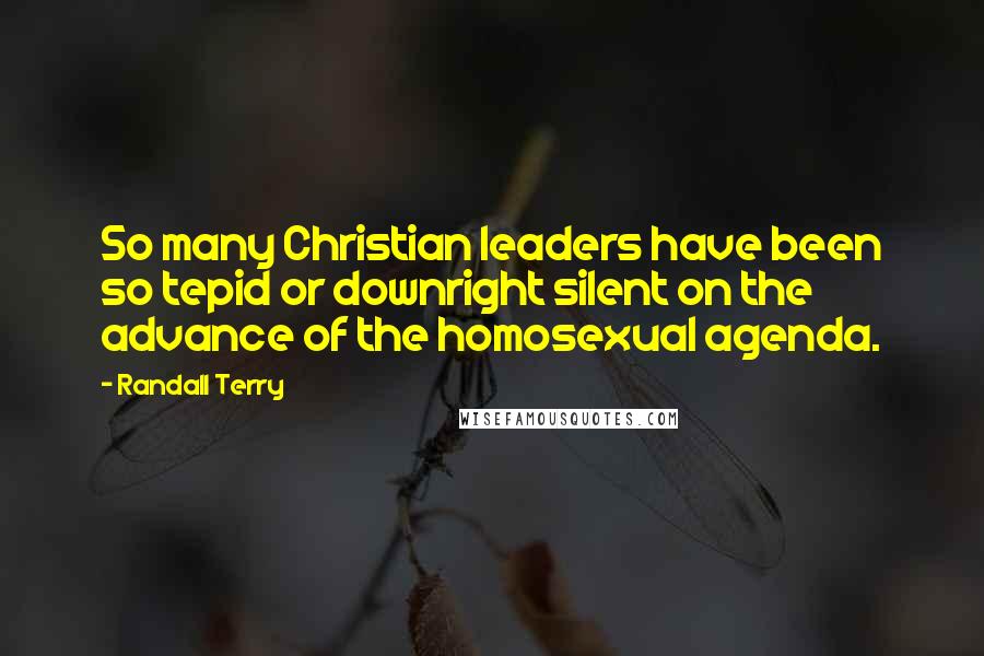 Randall Terry Quotes: So many Christian leaders have been so tepid or downright silent on the advance of the homosexual agenda.