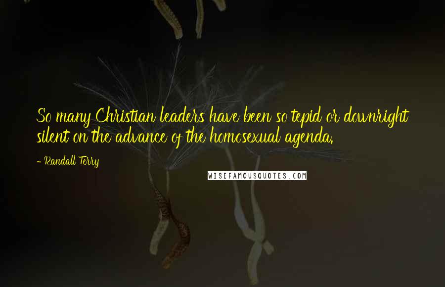 Randall Terry Quotes: So many Christian leaders have been so tepid or downright silent on the advance of the homosexual agenda.