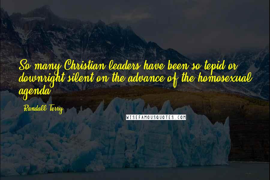 Randall Terry Quotes: So many Christian leaders have been so tepid or downright silent on the advance of the homosexual agenda.