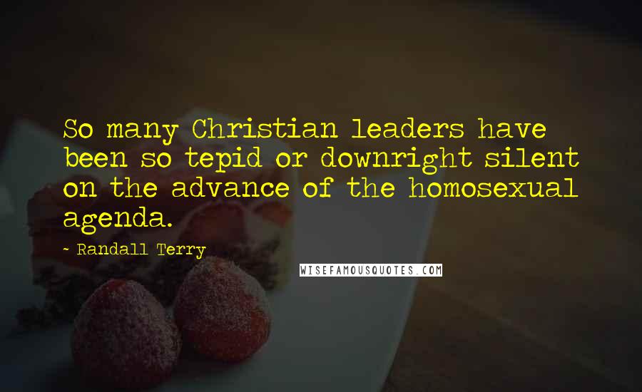 Randall Terry Quotes: So many Christian leaders have been so tepid or downright silent on the advance of the homosexual agenda.