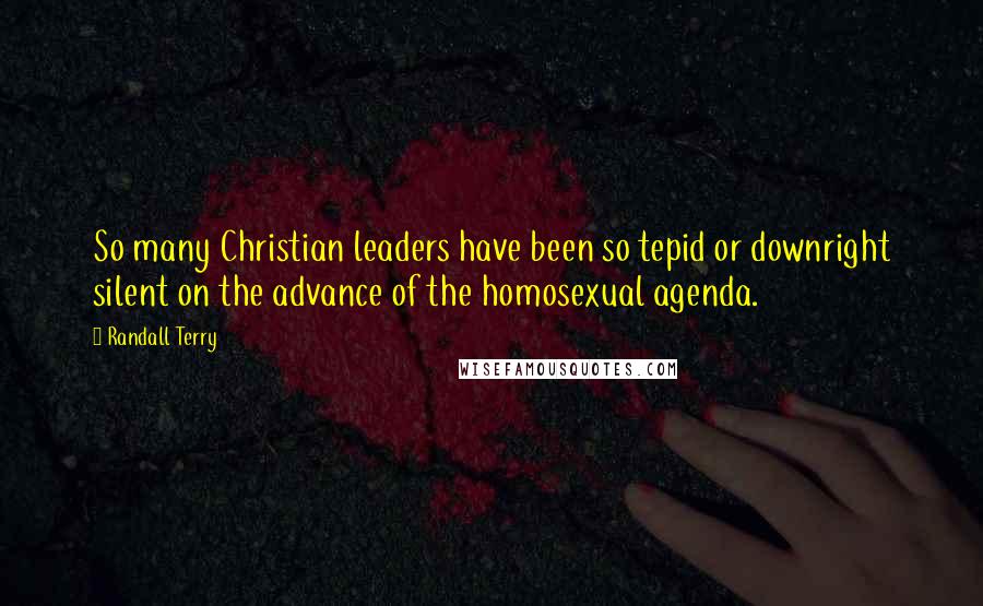 Randall Terry Quotes: So many Christian leaders have been so tepid or downright silent on the advance of the homosexual agenda.