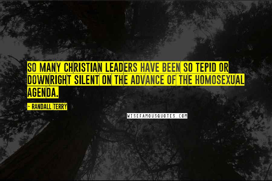 Randall Terry Quotes: So many Christian leaders have been so tepid or downright silent on the advance of the homosexual agenda.
