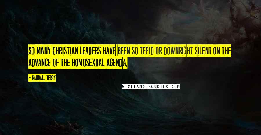 Randall Terry Quotes: So many Christian leaders have been so tepid or downright silent on the advance of the homosexual agenda.