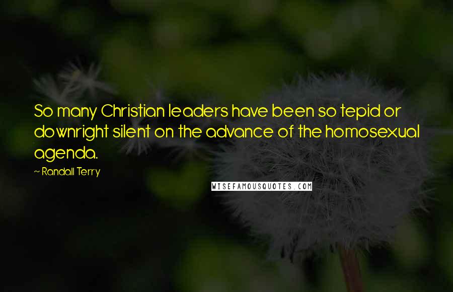 Randall Terry Quotes: So many Christian leaders have been so tepid or downright silent on the advance of the homosexual agenda.