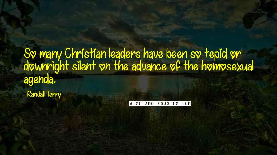 Randall Terry Quotes: So many Christian leaders have been so tepid or downright silent on the advance of the homosexual agenda.
