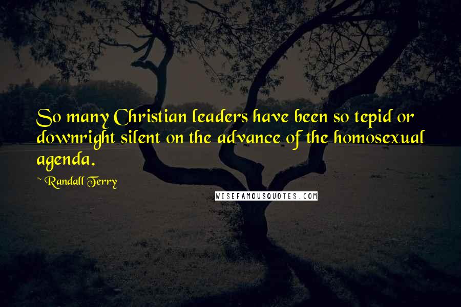 Randall Terry Quotes: So many Christian leaders have been so tepid or downright silent on the advance of the homosexual agenda.