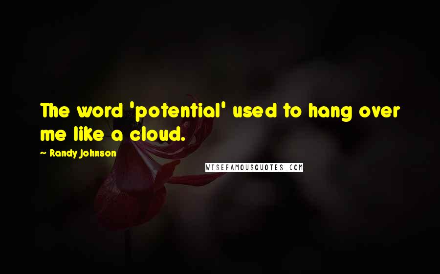 Randy Johnson Quotes: The word 'potential' used to hang over me like a cloud.