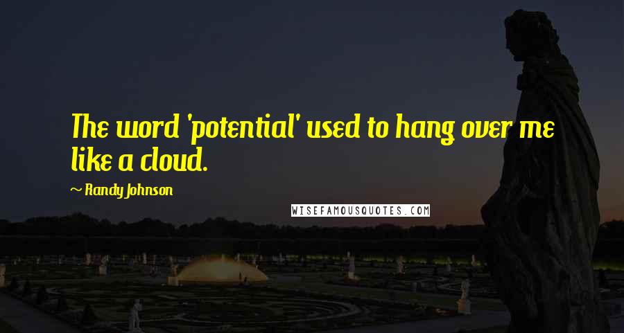 Randy Johnson Quotes: The word 'potential' used to hang over me like a cloud.