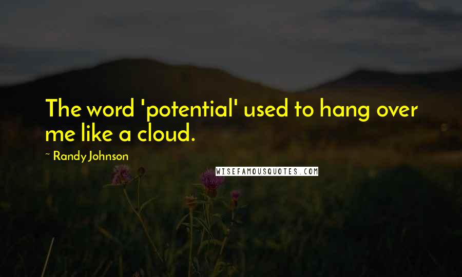 Randy Johnson Quotes: The word 'potential' used to hang over me like a cloud.