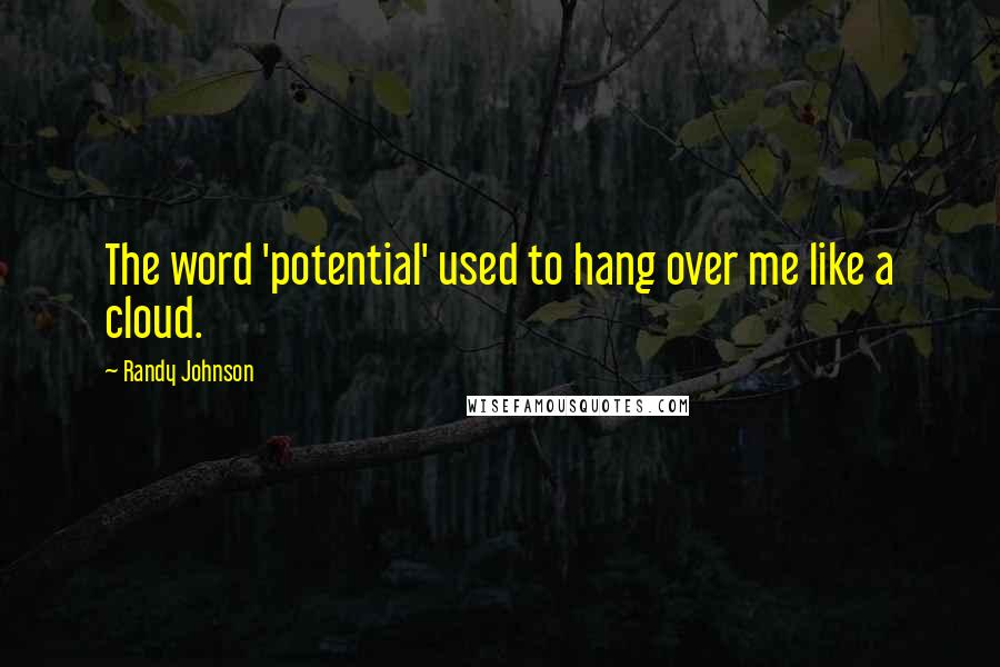 Randy Johnson Quotes: The word 'potential' used to hang over me like a cloud.