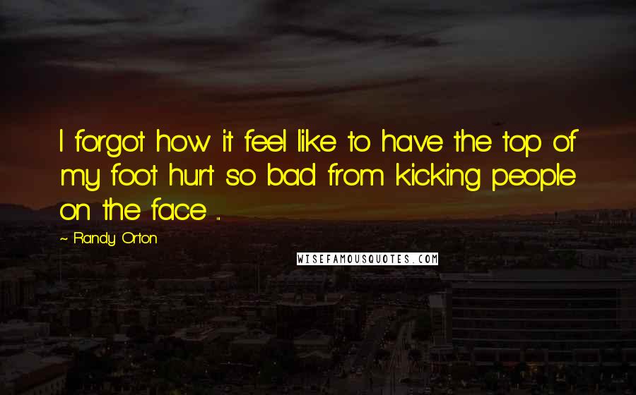 Randy Orton Quotes: I forgot how it feel like to have the top of my foot hurt so bad from kicking people on the face ...