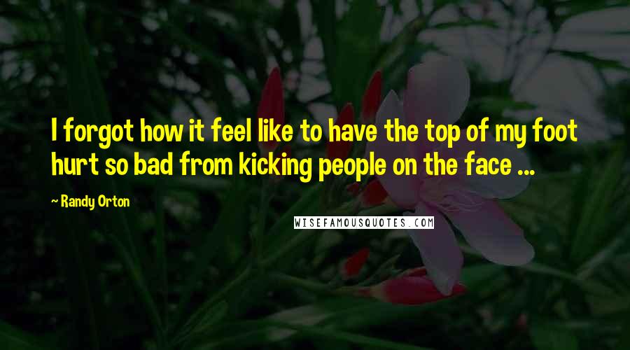 Randy Orton Quotes: I forgot how it feel like to have the top of my foot hurt so bad from kicking people on the face ...