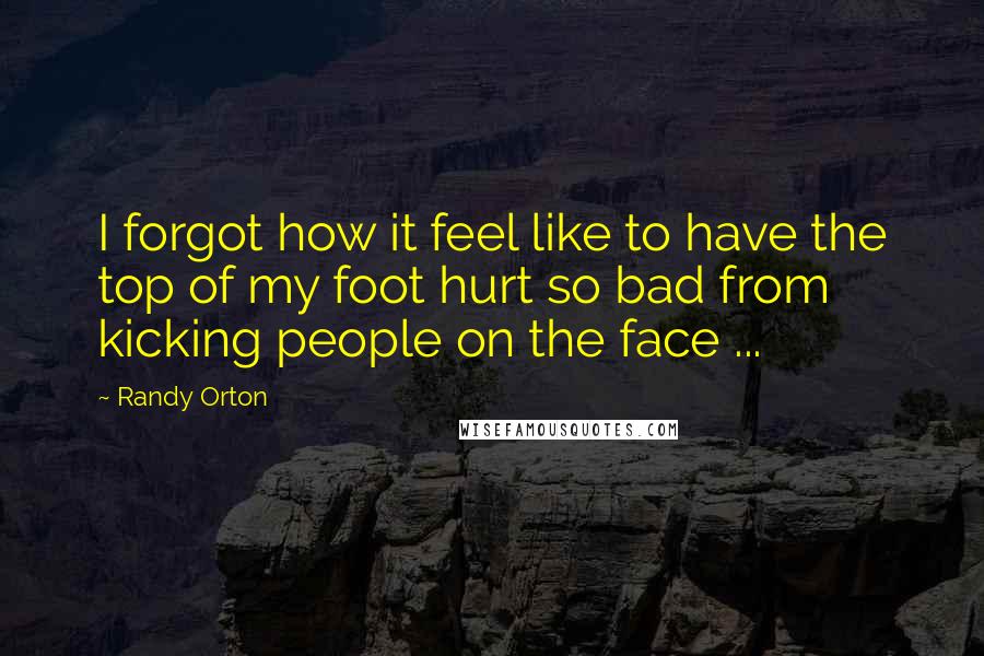 Randy Orton Quotes: I forgot how it feel like to have the top of my foot hurt so bad from kicking people on the face ...