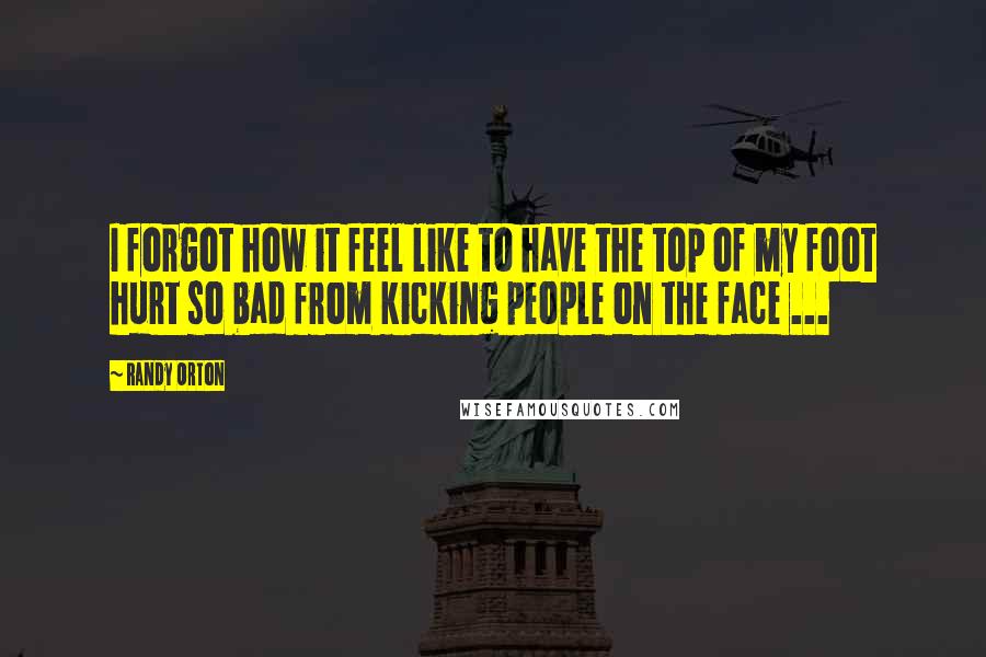 Randy Orton Quotes: I forgot how it feel like to have the top of my foot hurt so bad from kicking people on the face ...