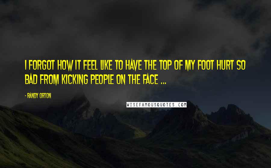 Randy Orton Quotes: I forgot how it feel like to have the top of my foot hurt so bad from kicking people on the face ...