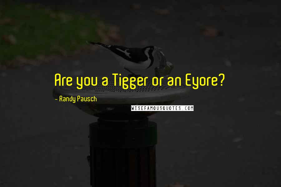 Randy Pausch Quotes: Are you a Tigger or an Eyore?