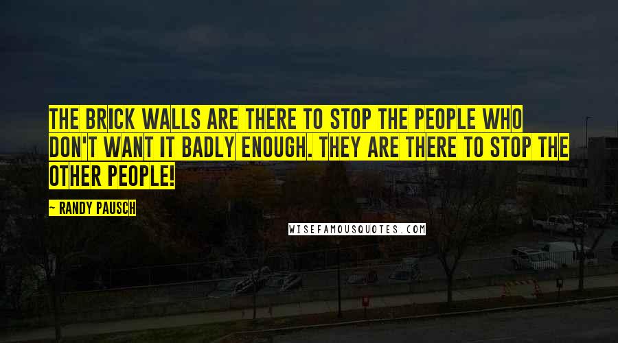 Randy Pausch Quotes: The brick walls are there to stop the people who don't want it badly enough. They are there to stop the other people!
