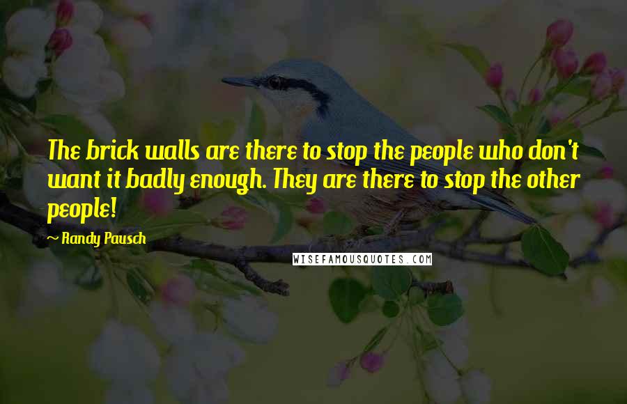 Randy Pausch Quotes: The brick walls are there to stop the people who don't want it badly enough. They are there to stop the other people!