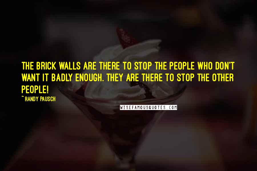 Randy Pausch Quotes: The brick walls are there to stop the people who don't want it badly enough. They are there to stop the other people!