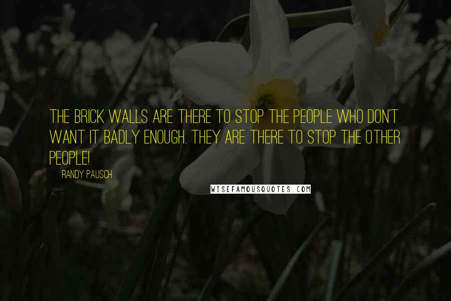 Randy Pausch Quotes: The brick walls are there to stop the people who don't want it badly enough. They are there to stop the other people!