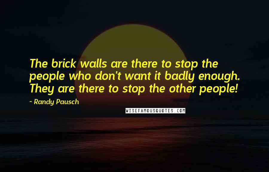 Randy Pausch Quotes: The brick walls are there to stop the people who don't want it badly enough. They are there to stop the other people!
