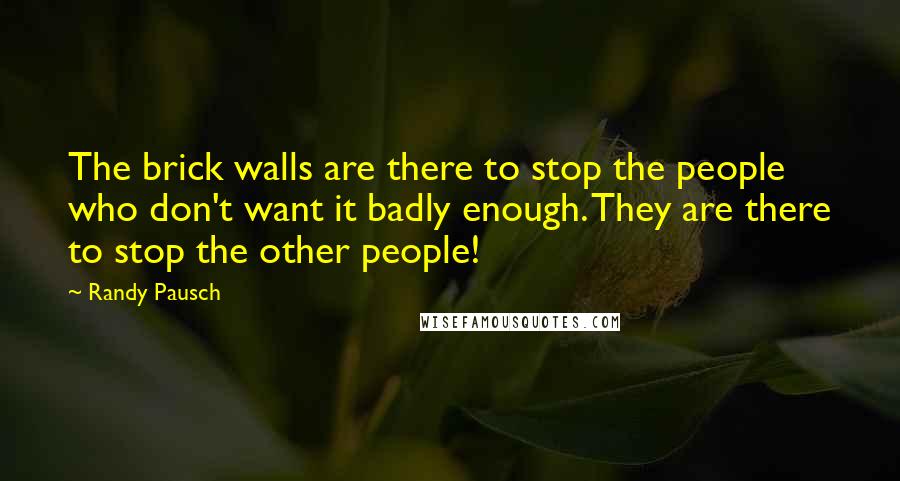 Randy Pausch Quotes: The brick walls are there to stop the people who don't want it badly enough. They are there to stop the other people!