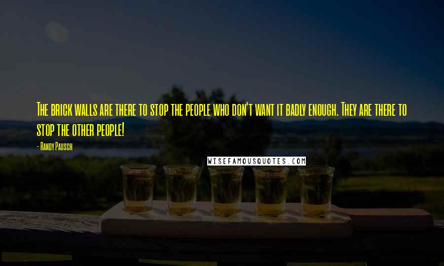 Randy Pausch Quotes: The brick walls are there to stop the people who don't want it badly enough. They are there to stop the other people!