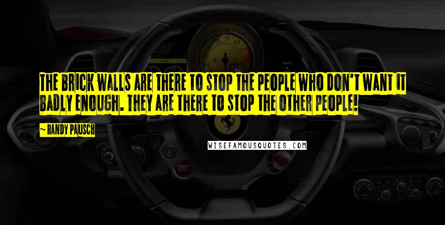 Randy Pausch Quotes: The brick walls are there to stop the people who don't want it badly enough. They are there to stop the other people!