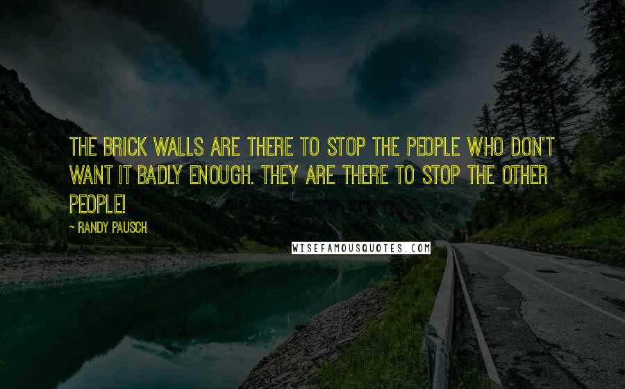 Randy Pausch Quotes: The brick walls are there to stop the people who don't want it badly enough. They are there to stop the other people!