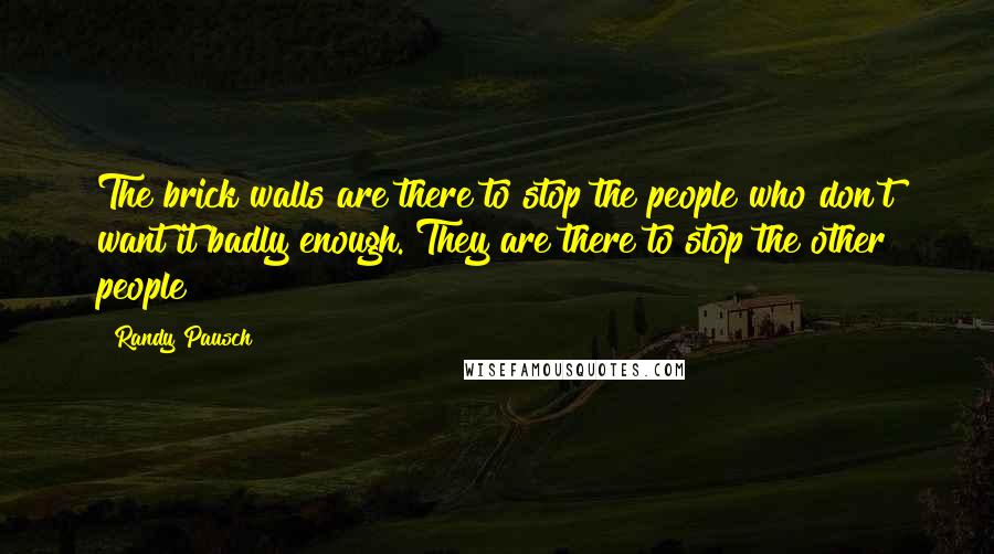 Randy Pausch Quotes: The brick walls are there to stop the people who don't want it badly enough. They are there to stop the other people!