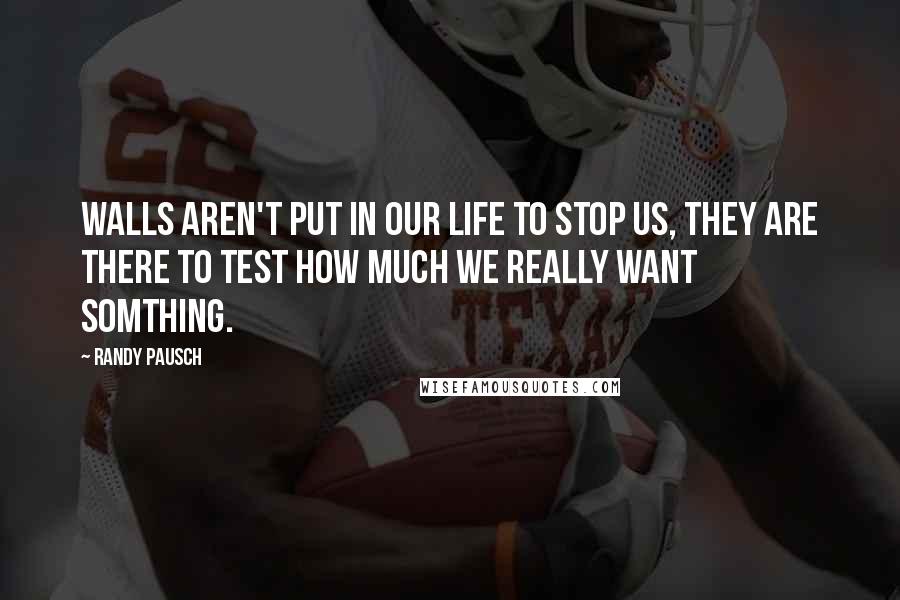 Randy Pausch Quotes: Walls aren't put in our life to stop us, they are there to test how much we really want somthing.