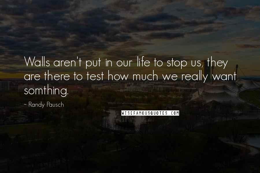 Randy Pausch Quotes: Walls aren't put in our life to stop us, they are there to test how much we really want somthing.